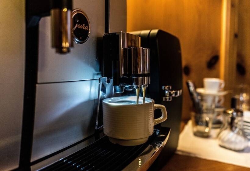 פנסיון Garni Zugspitz