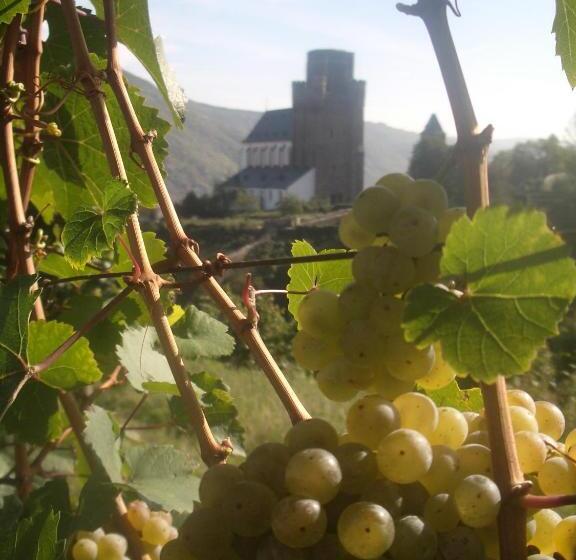 بنسيون Gasthaus Weingut Stahl