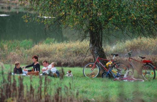 Пансион Gasthof Hotel Zum Weinberg