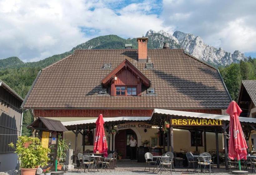 پانسیون Rooms Cvitar   Center