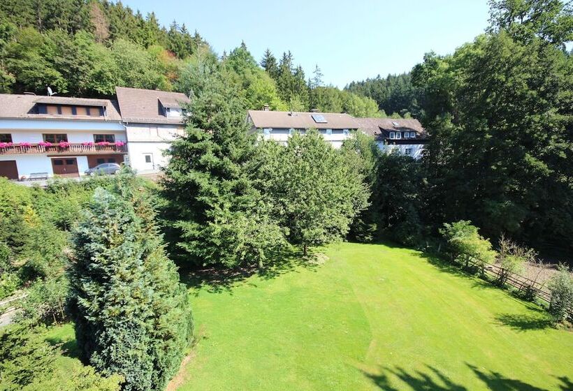 펜션 Haus Schnorbus