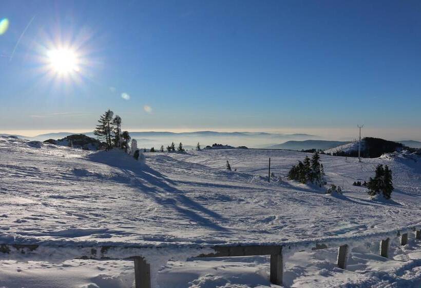 Пансион Haus Vierjahreszeiten