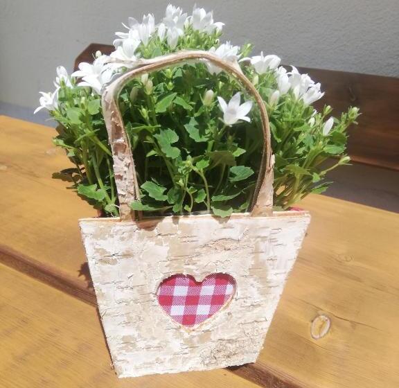 Пансион Landgasthaus Birkenhof