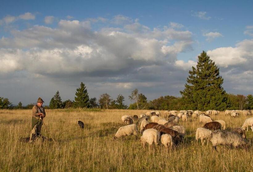 膳宿费 Landgasthof Gilsbach