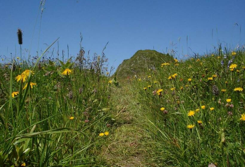 ペンション Landhaus Gletschermühle