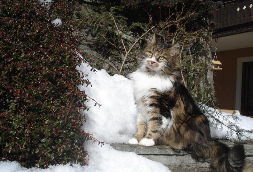 ペンション Landhaus Gletschermühle