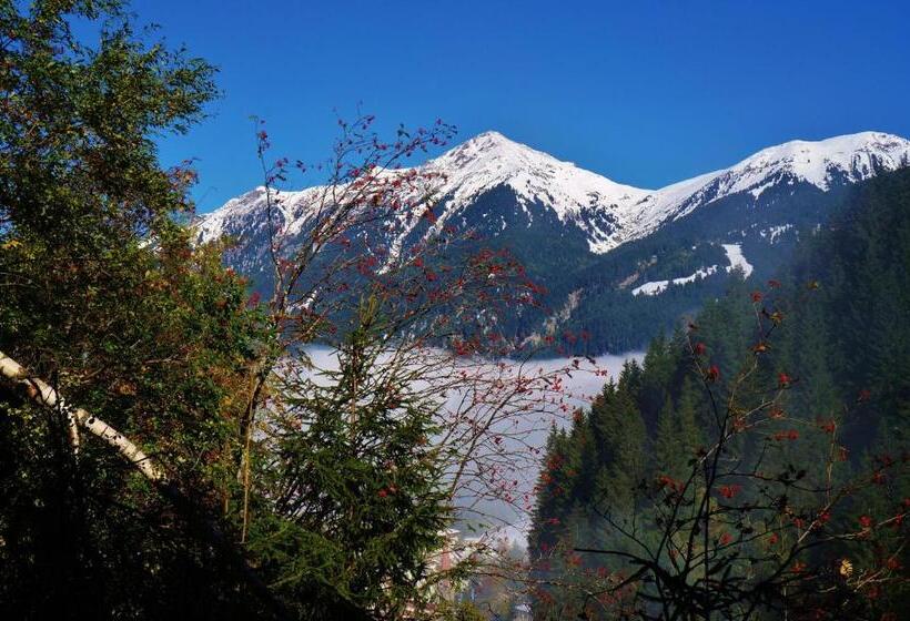 ペンション Landhaus Gletschermühle