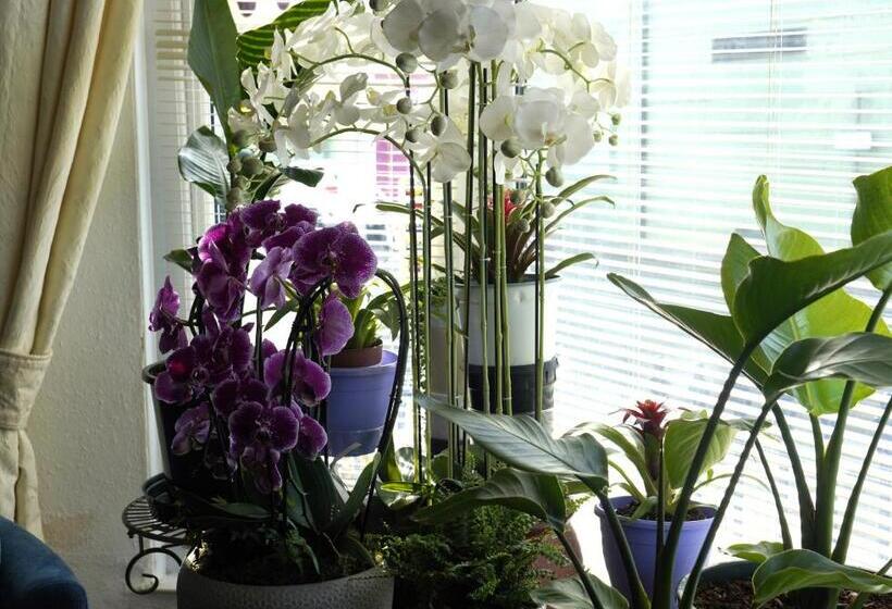 بنسيون Marlborough Guest House B & B