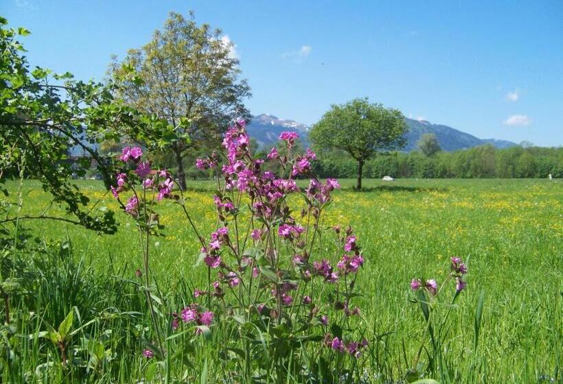 ペンション Niederauer Hof