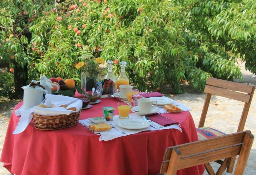 بنسيون Quinta De S.vicente