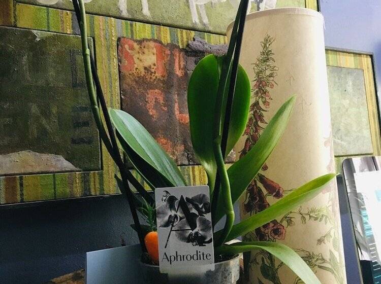 پانسیون Rose Lodge Guest House