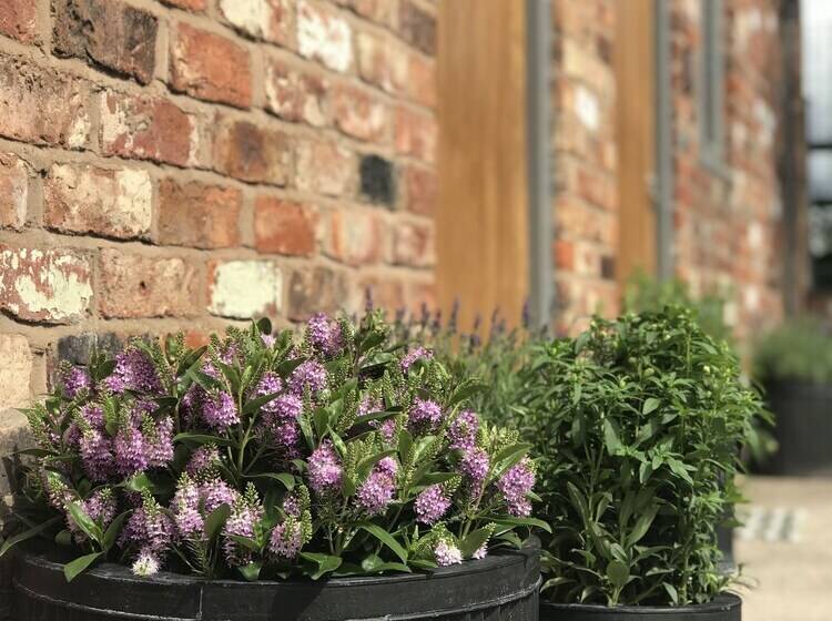 Пансион Rylands Farmhouse