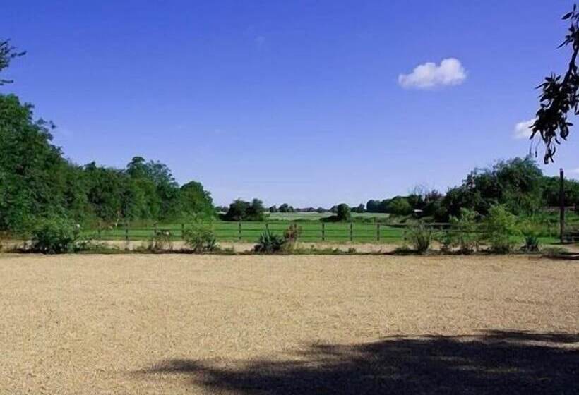 بنسيون The Wishing Well