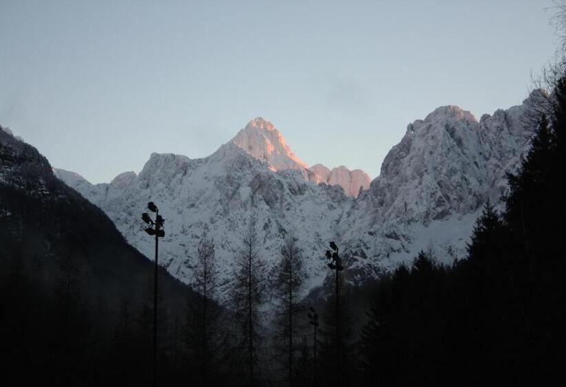 膳宿费 Vila Romana