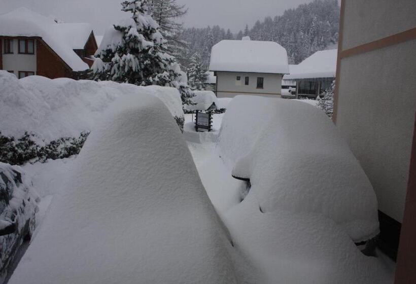 膳宿费 Vila Romana