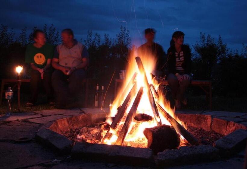 膳宿费 Villa Betula Resort & Camping