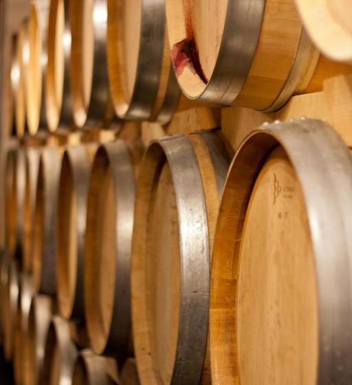 펜션 Weingut Franz Schindler