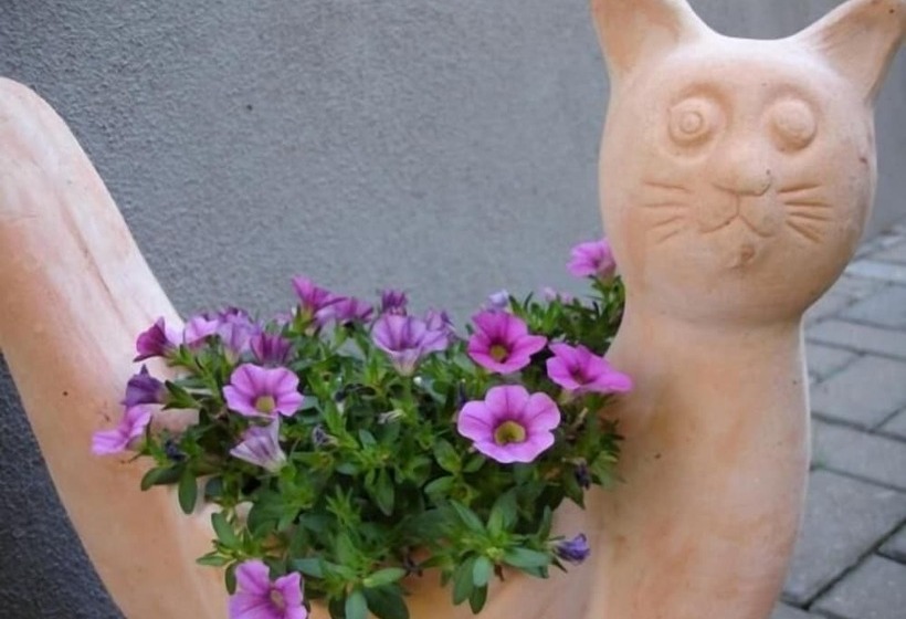 Pension Refugium überm Schwansee