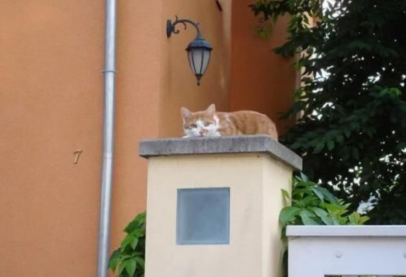 Pension Refugium überm Schwansee