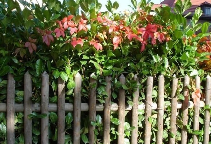 Pension Refugium überm Schwansee