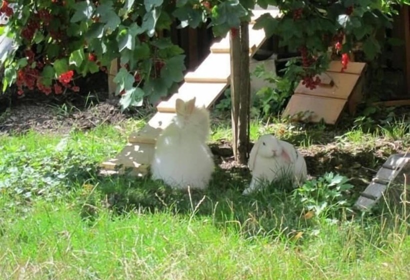 Pension Refugium überm Schwansee