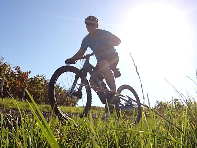 Pension Und Weingut Hirschhof