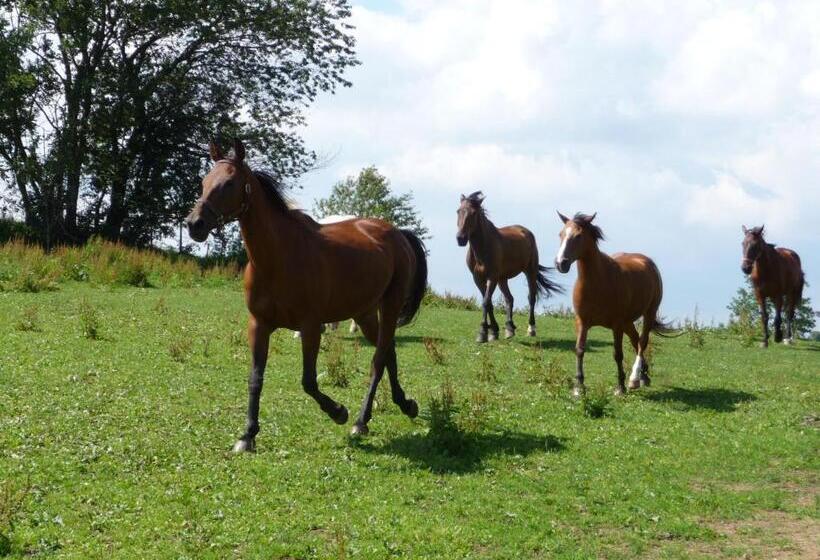 Sportpension Ramlhof