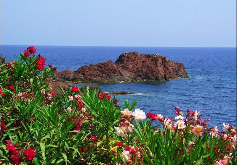 Vacanceole  Les Calanques Du Parc