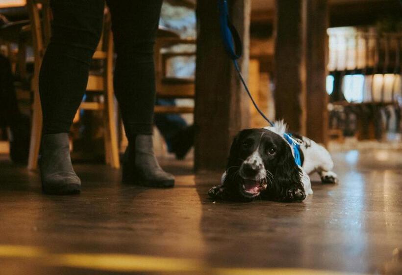 הוסטל The Heathfield Inn