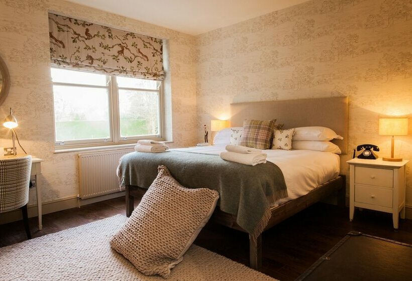 הוסטל The White Buck