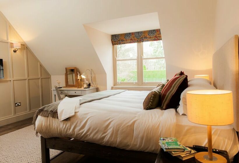 הוסטל The White Buck