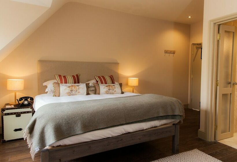 הוסטל The White Buck