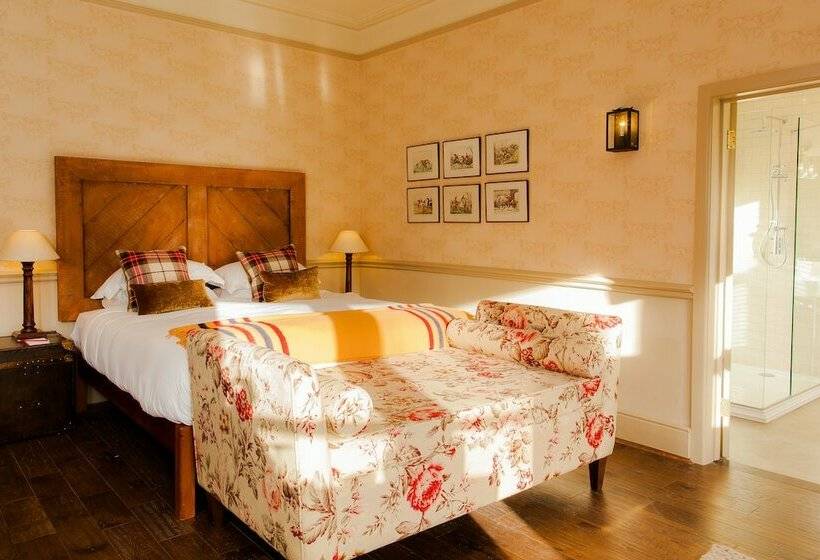 הוסטל The White Buck