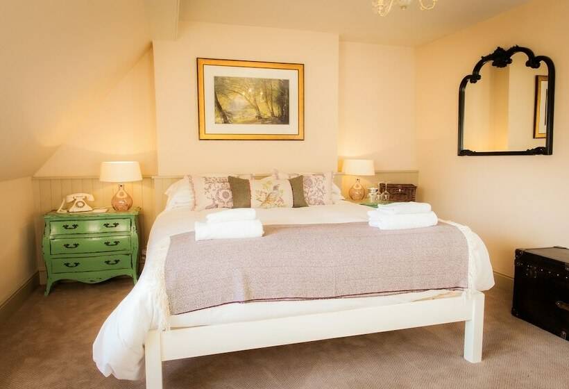 הוסטל The White Buck