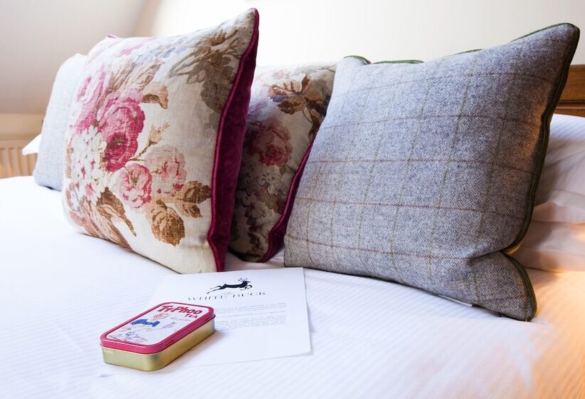 הוסטל The White Buck