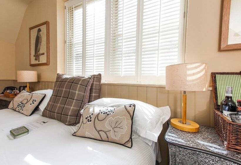 הוסטל The White Buck