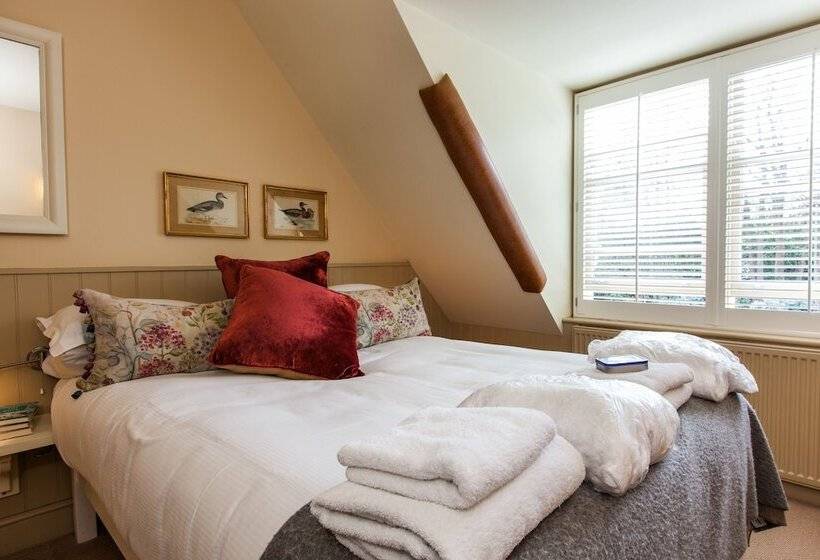 הוסטל The White Buck