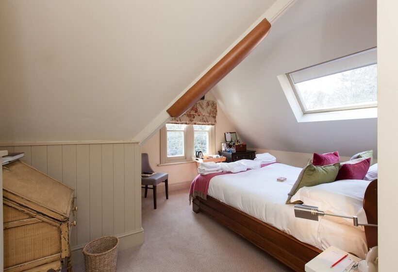 הוסטל The White Buck