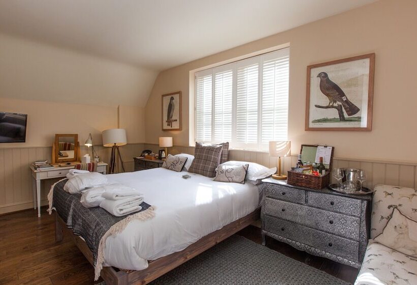 הוסטל The White Buck