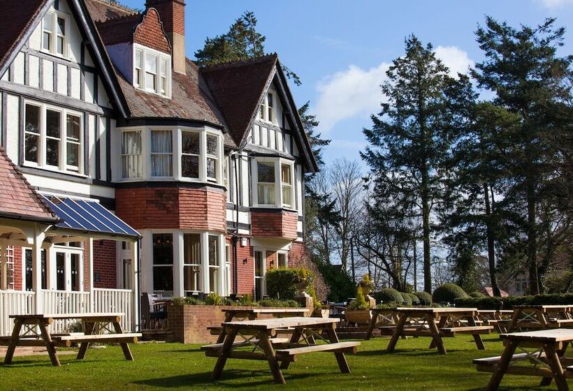 הוסטל The White Buck