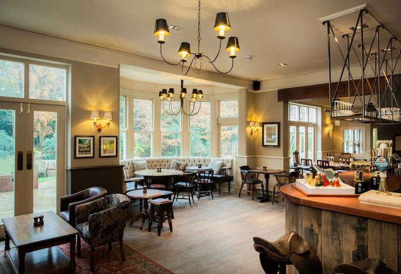 הוסטל The White Buck