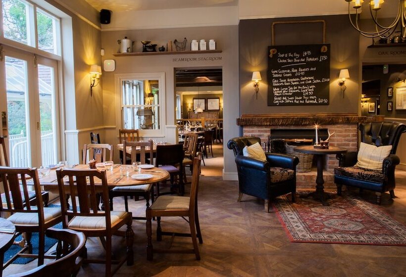 הוסטל The White Buck