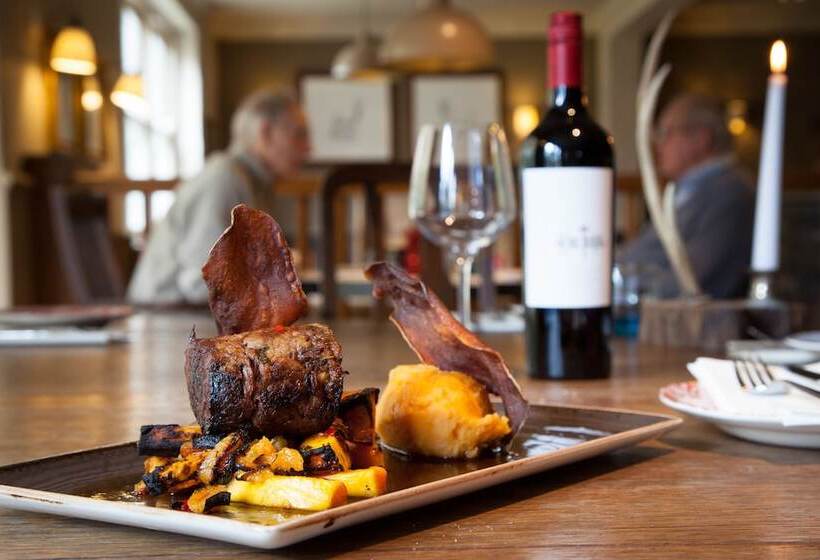 הוסטל The White Buck