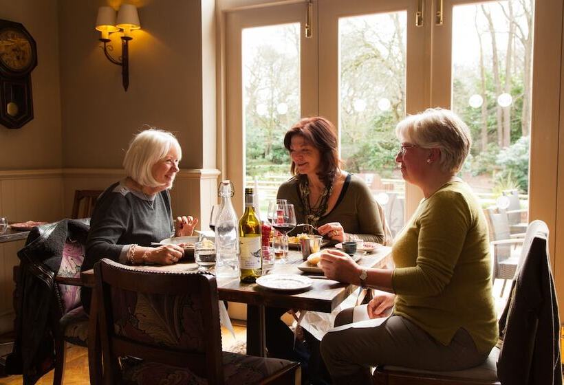 הוסטל The White Buck