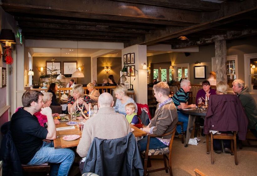 הוסטל The White Buck