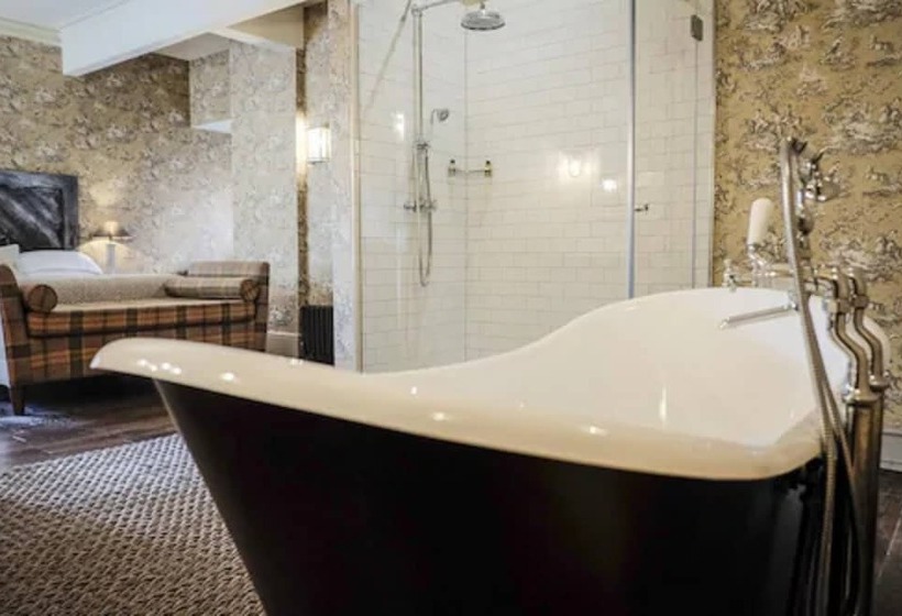 הוסטל The White Buck