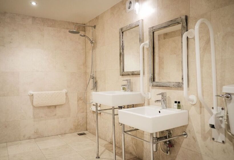 הוסטל The White Buck