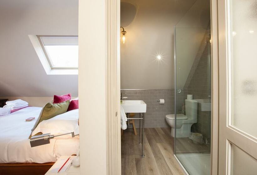 הוסטל The White Buck