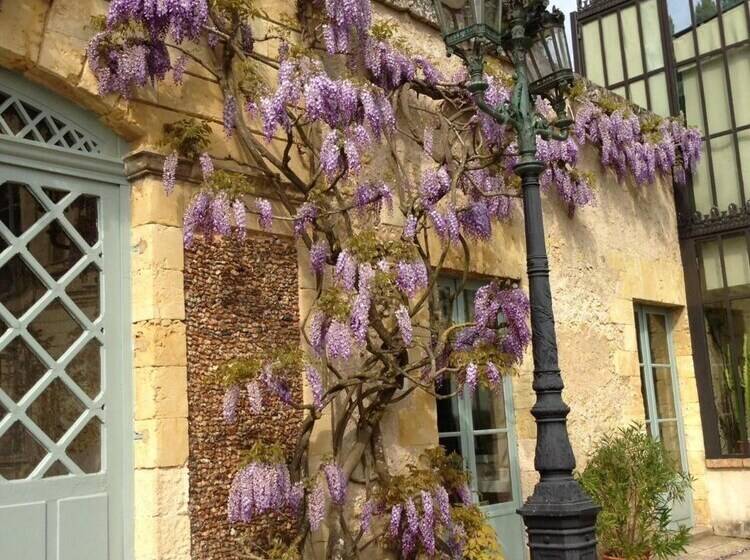 Bed and Breakfast Domaine Des Bidaudieres