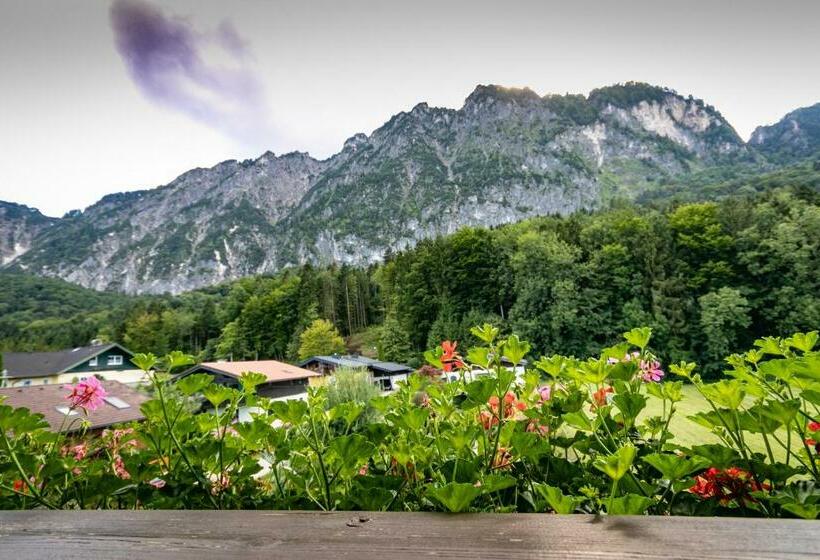 مبيت وإفطار Pension Bergfried